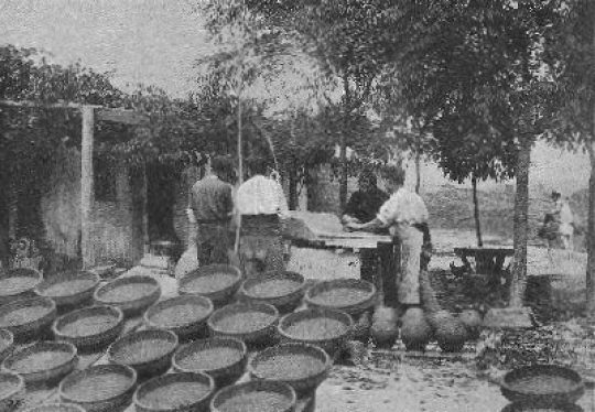 1898 - La industria de Alcorcón