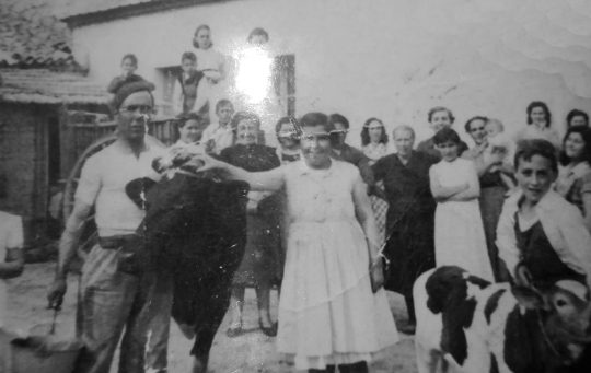 1950 - Vaquería de Eleuterio en la Calle Mayor