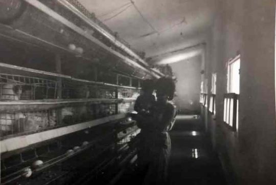 1963 - Madre e hija en la granja de la Calle Nueva