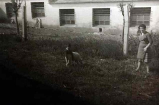 1963 - La granja de la Calle Nueva