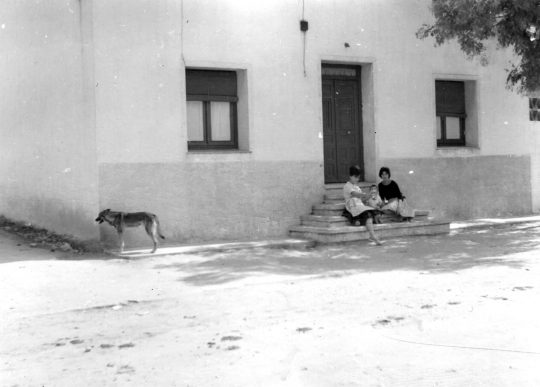 1963 - La granja de la Calle Nueva