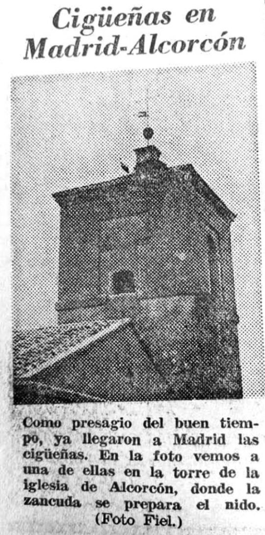 1970 - Periódico de ABC sobre las cigüeñas en Alcorcón 
